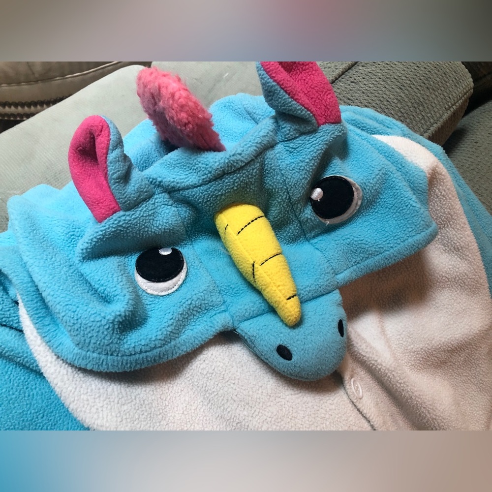 One piece unicorn costume.
